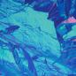 Preview: Jersey mit Mustermix Blau/Azur/Rosa Wildlife by Thorsten Berger von Swafing